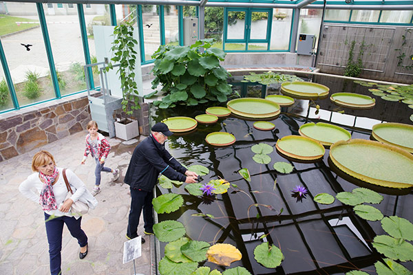 Pavilon leknínů Botanické zahrady Liberec 2
