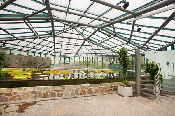 Pavilon leknínů Botanické zahrady Liberec 4